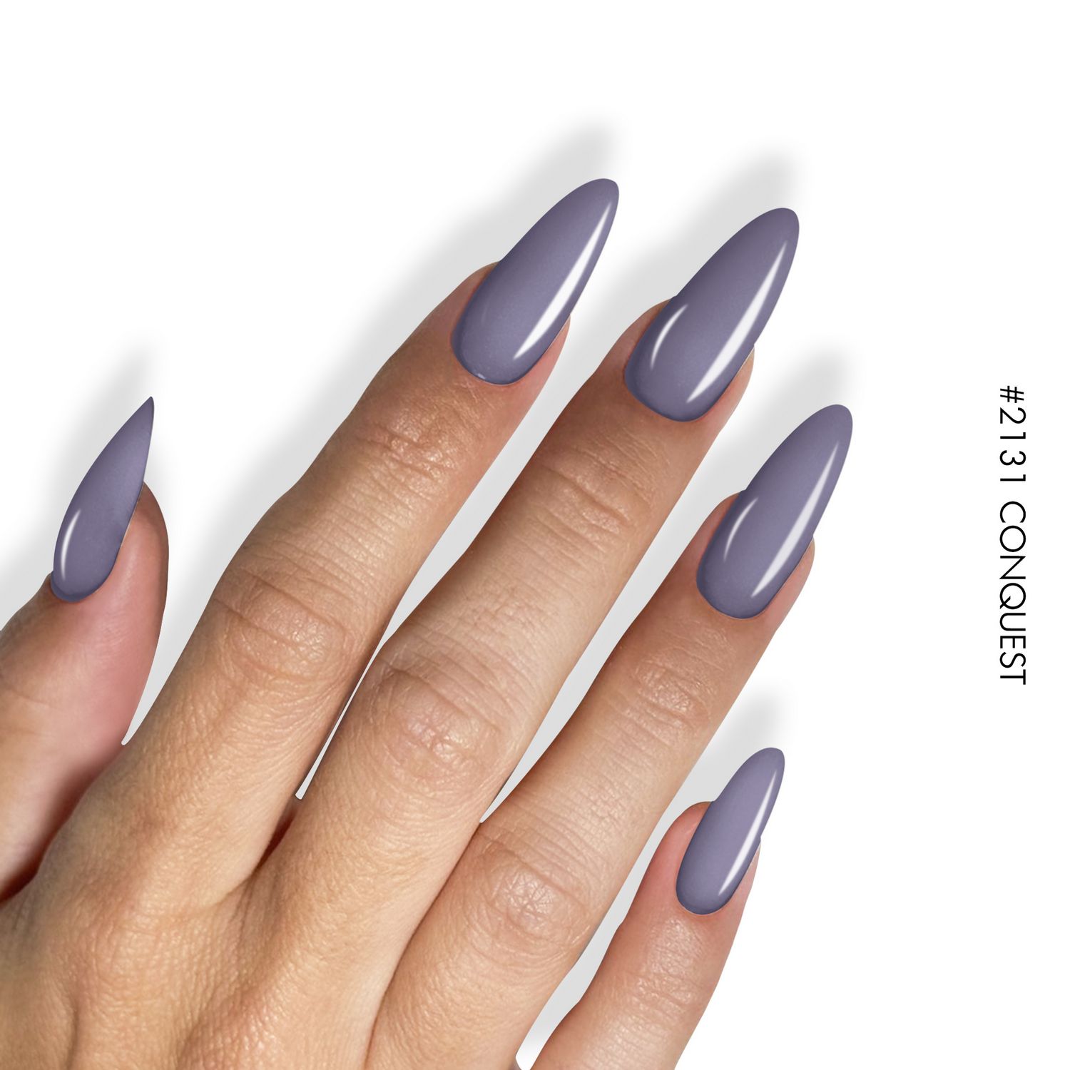 2131 Conquest - Image 2