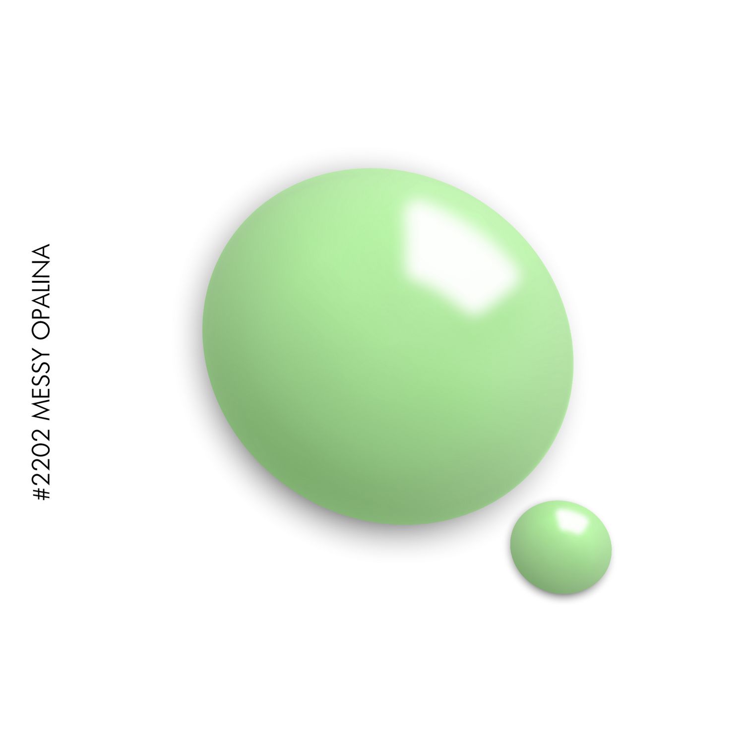 2202 Messy Opalina