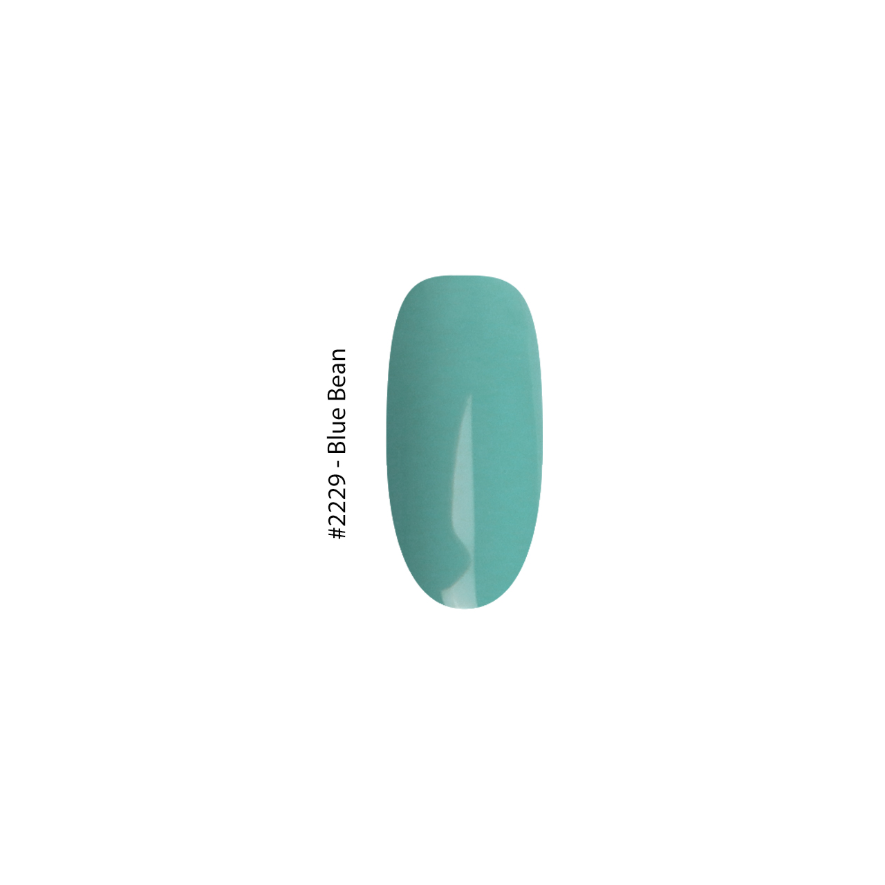 2229 Blue Bean - Image 2