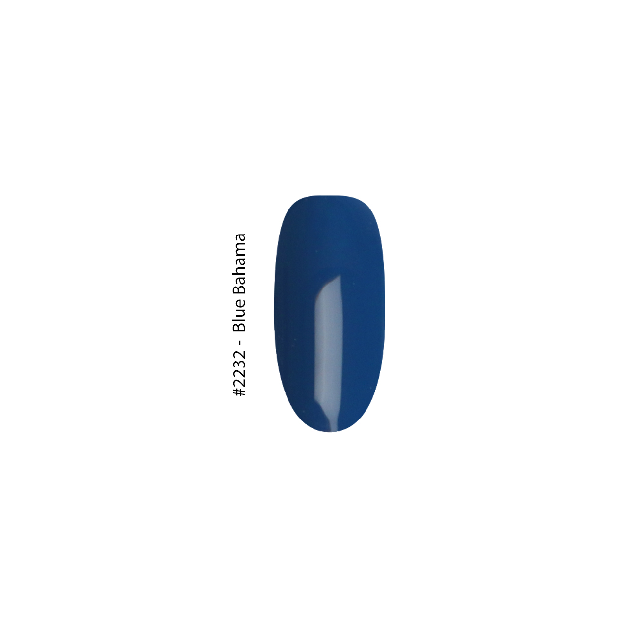 2232 Bahama Blue - Image 2
