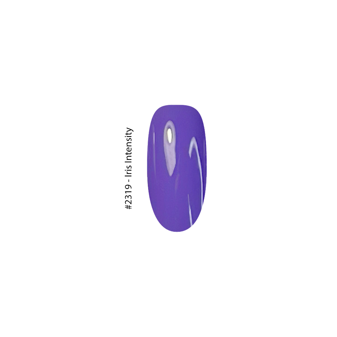 2319 Iris Intensity - Image 2