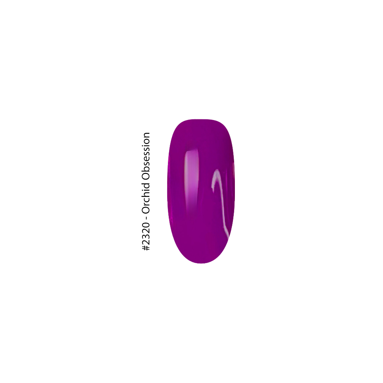 2320 Orchid Obsession - Image 2