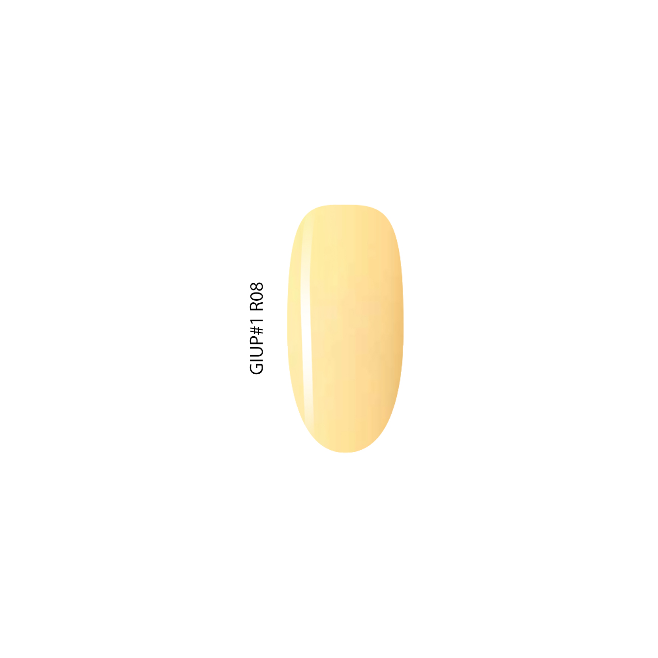 GIUP#1 R08 - Image 2