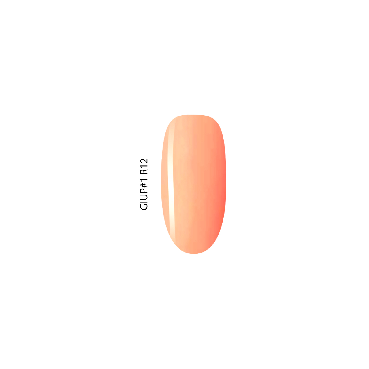GIUP#1 R12 - Image 2