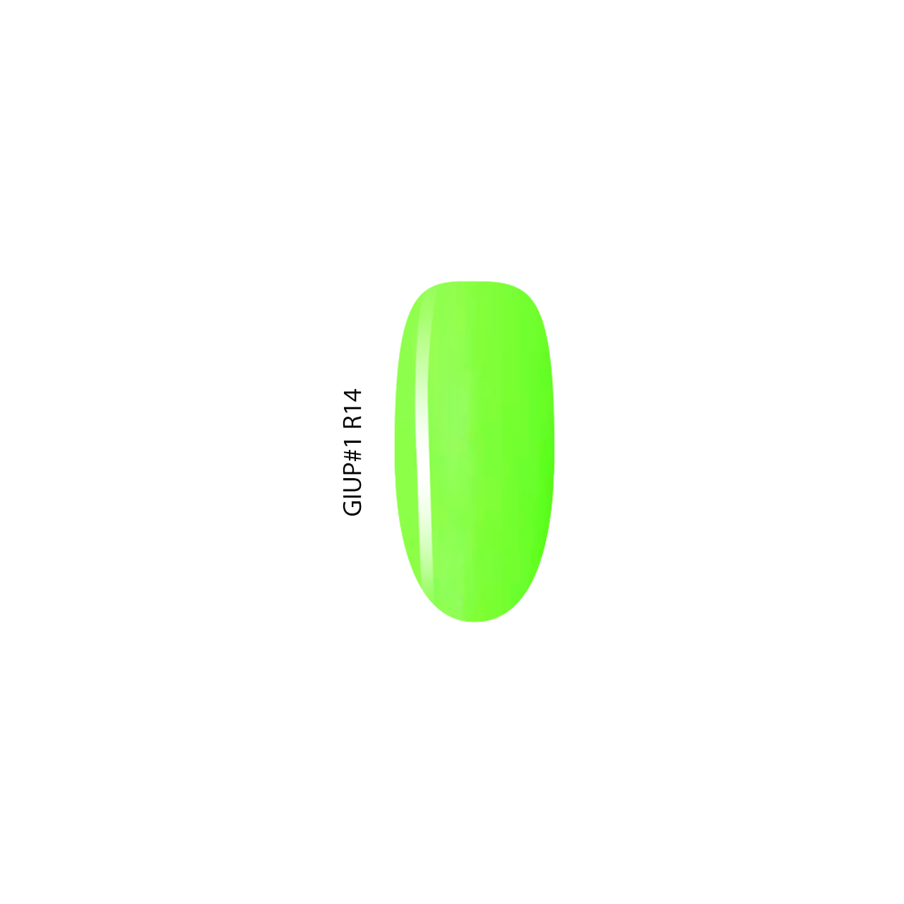 GIUP#1 R14 - Image 2