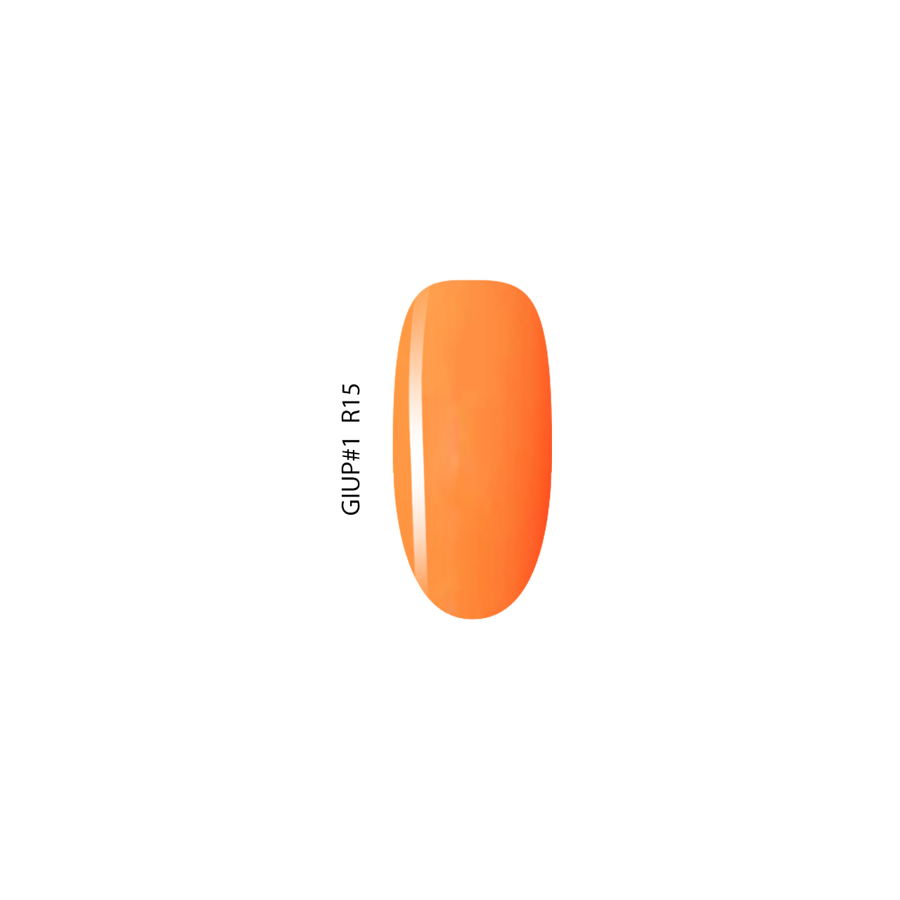 GIUP#1 R15 - Image 2