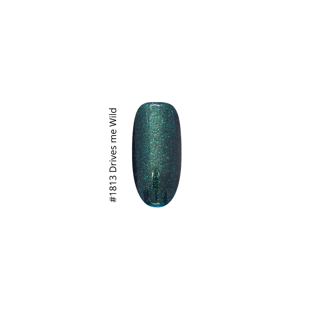 1813 Drives Me Wild - Image 2