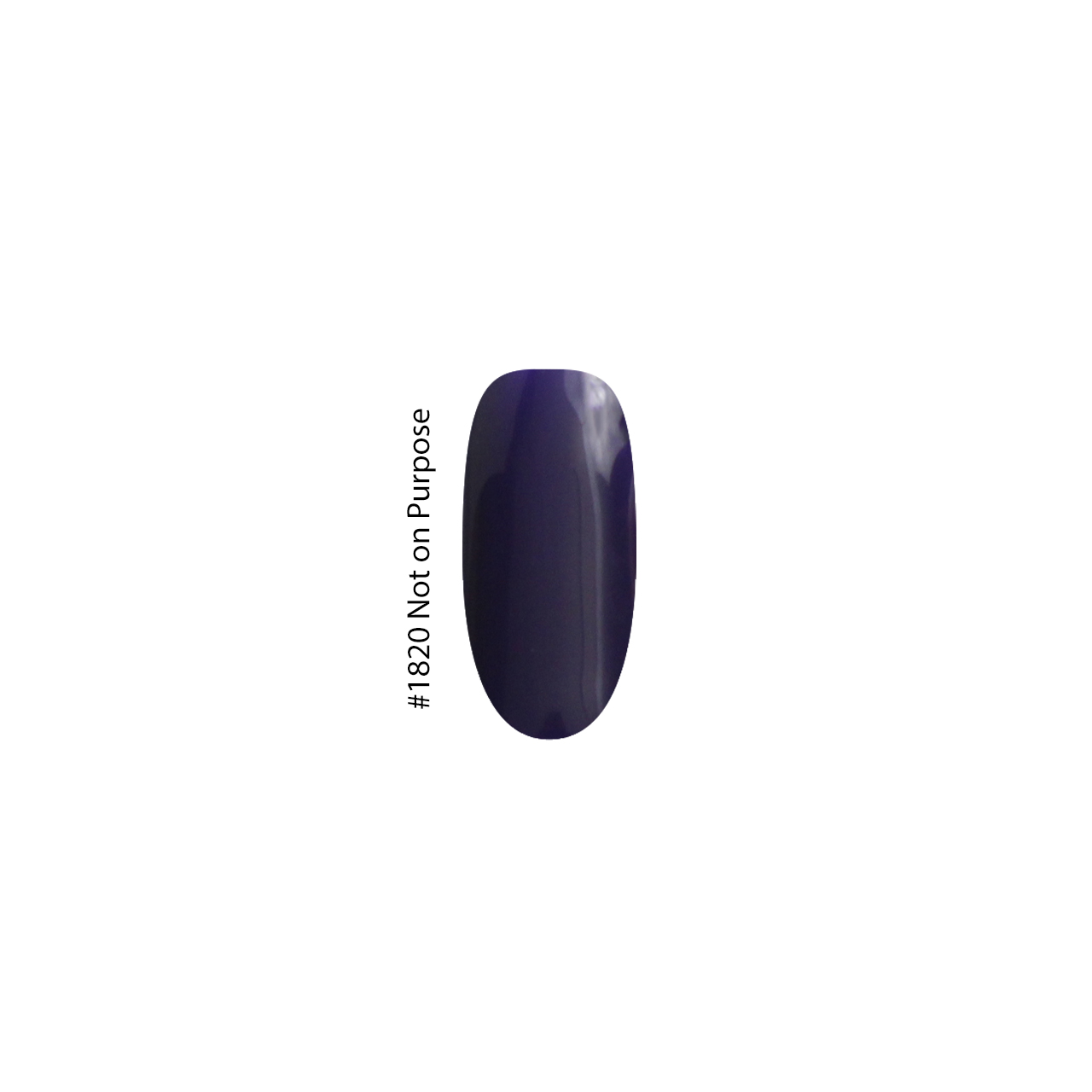 1820 Not on PurPose - Image 2