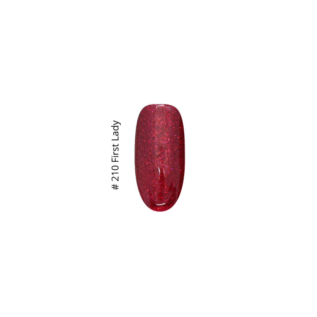210 First Lady - Image 2