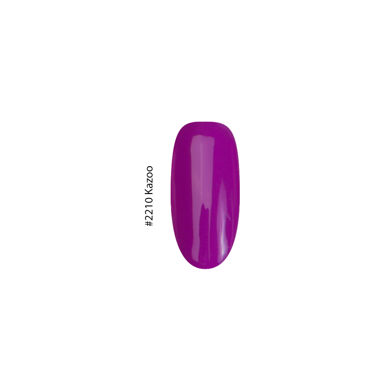2210 Kazoo - Image 2