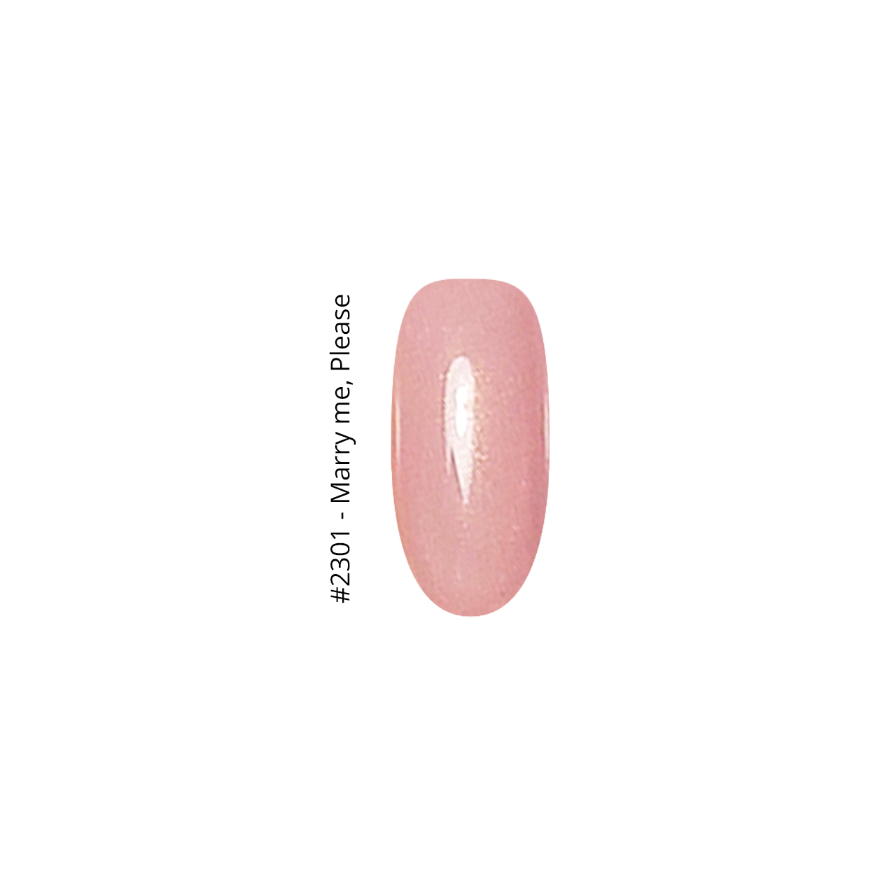 2301 Marry me, Please - Image 2